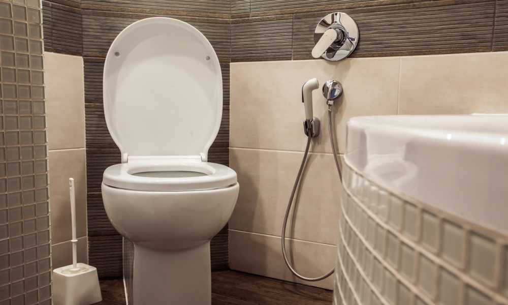 BioBidet Supreme BB-1000 Elongated White Bidet Toilet Seat