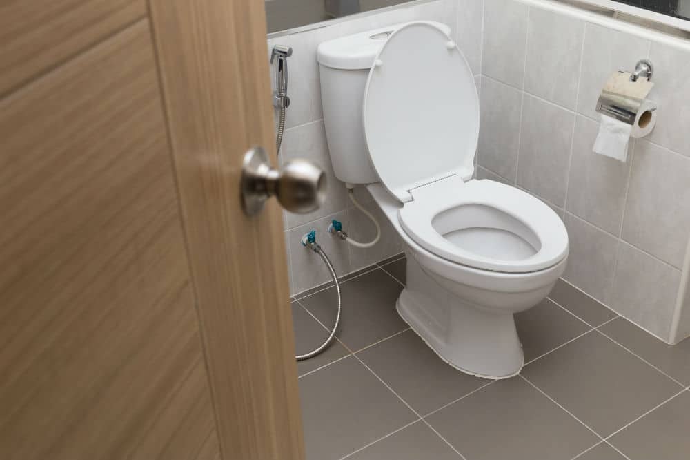 Purpose of Bidet Toilet Seat Attachments