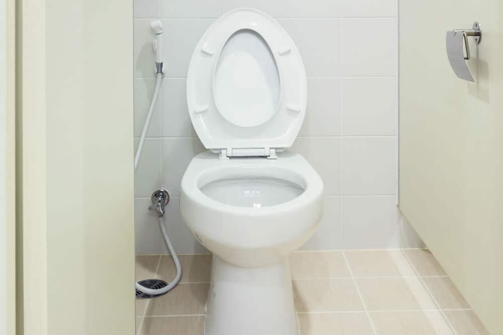 Home Bidet Toilet Seat: Should You Get One?