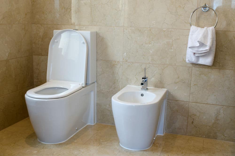 The Different Bidet Toilet Seat Uses