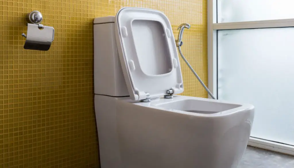 How Do You Dry After Using a Bidet: A Guide for Every Bidet User