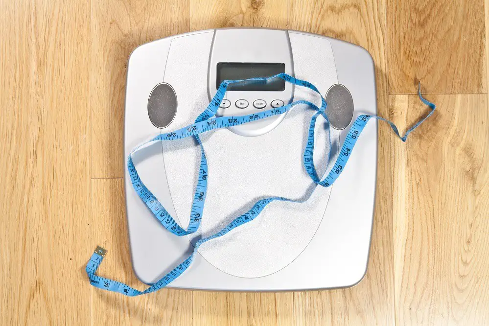 How to Calibrate a Bathroom Scale?