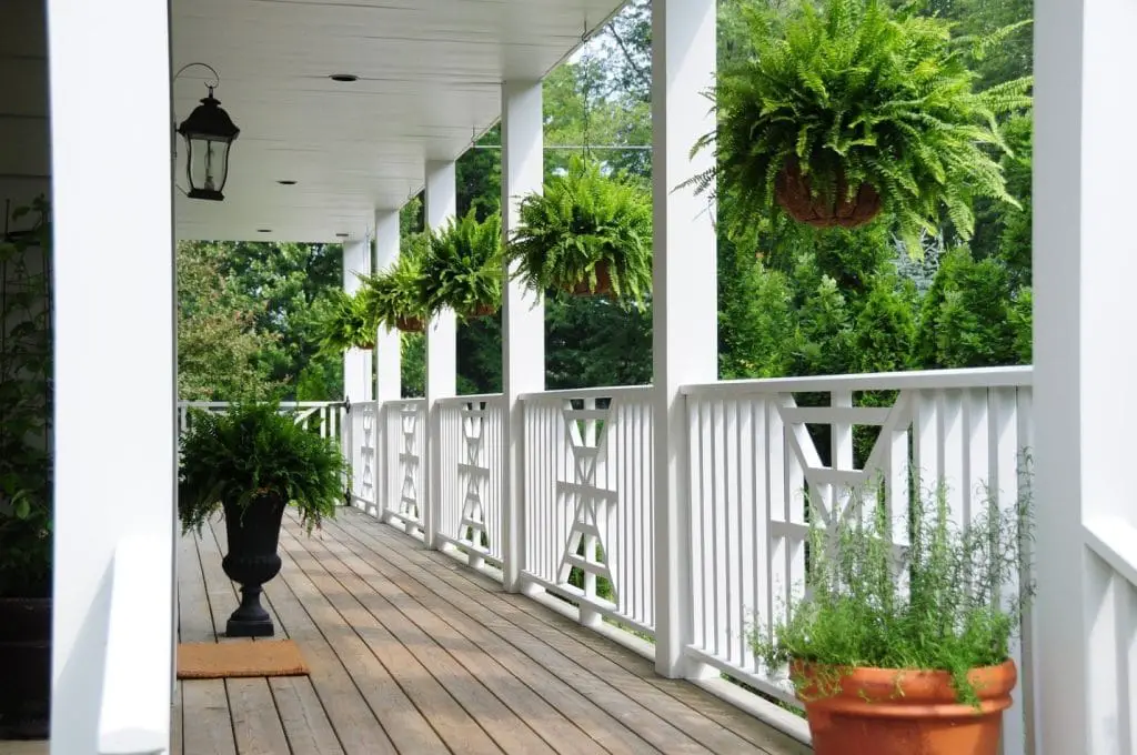 Plants on a porch